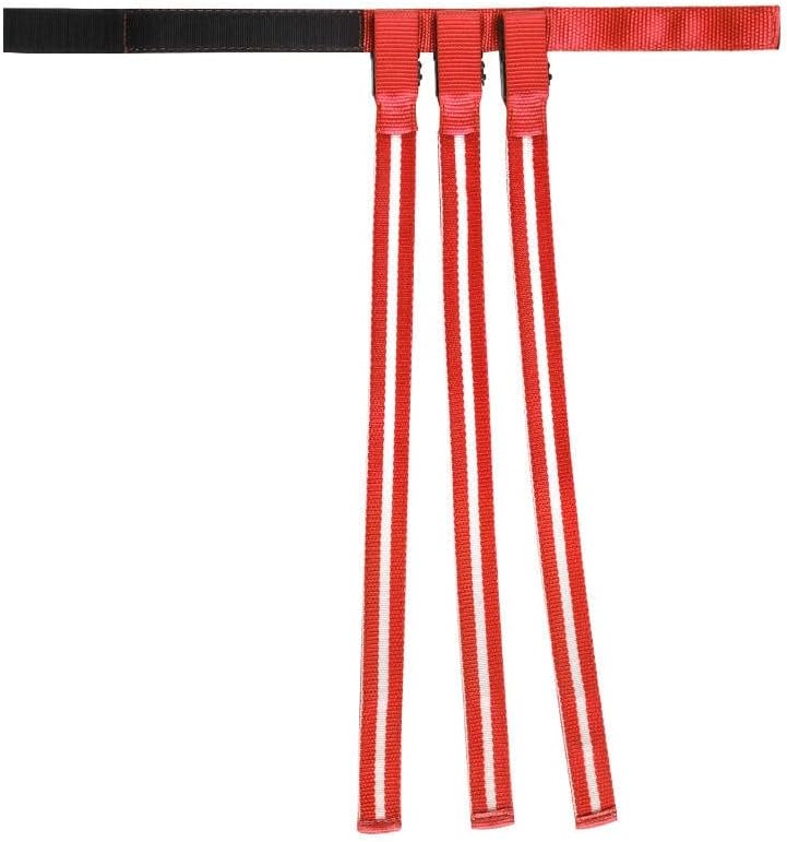 LED Horse Tack Rechargeable - Horse Accessories - Horse Tail Light - USB Recharged Outdoor Sports Equestrian Equipment - Best Horse Equipment for Christmas and Holiday - Great Safety Horse Equipment : Sports & Outdoors