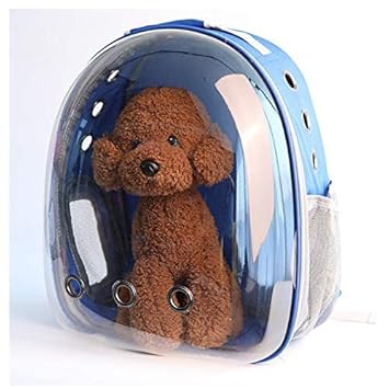 RvPaws Astronaut Space Capsule Pet Cat Dog Puppy Carrier Breathable Travel Backpack (Light-Blue)