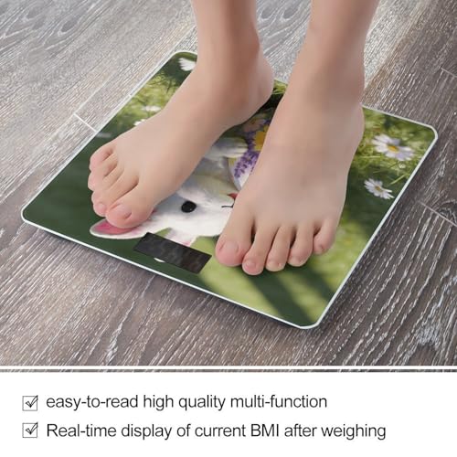 Báscula digital de baño con pantalla LCD y vidrio templado miniatura 5