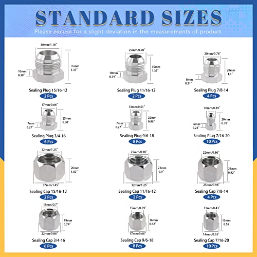 Image of Glarks 64Pcs 12 Sizes Hydraulic Hose Tube and Pipe Fitting Kit, 37 Degree JIC Cap and Plug Assortment Kit, Steel Flare Fitting Set w Precision Threading, Dash Sizes 4 6 8 10 12 16