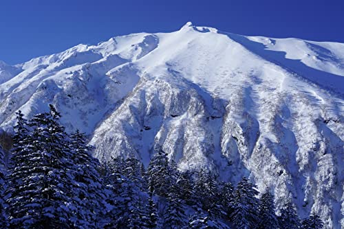 Lente telefoto Sony SEL70300G.SYX (70-300mm, F4.5-5.6 G, OSS) - Negro. - Fernando Cortés