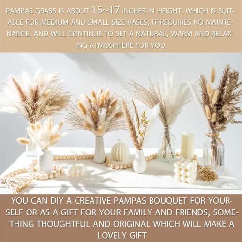 Ramo Natural Seco de Pasto Pampas Boho para Decoración miniatura 3