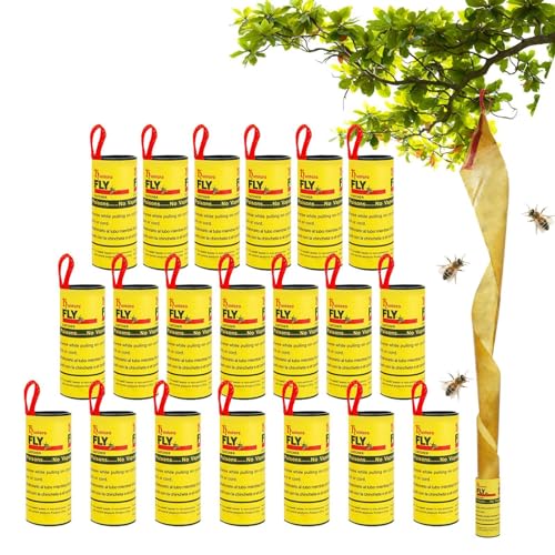 m[uhi pnG胊{ | 20/40 pbNStCLb`[[ | 20/40 pbNAlCSnGe[vAnGL[ƃnGߊlXebJ[AnGʔS[A؉nG߂莆tʎAƒAAp̒ڒ܂