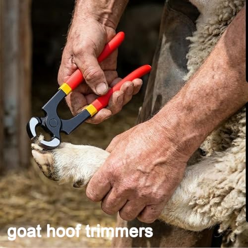 Image of 8 inch Farrier Hoof Tool Kit - Goat Pig Mini Horse Hoof Trimmer Set