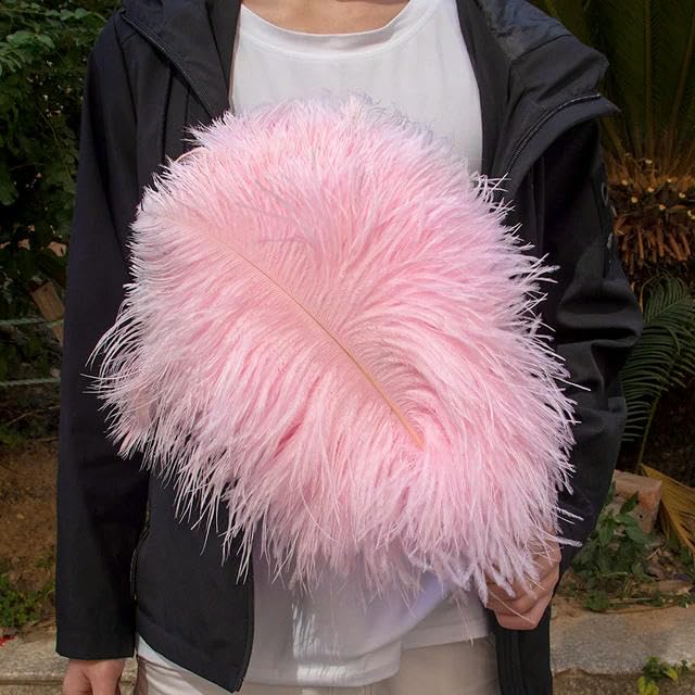 TUITA 10pcs White Large Ostrich Feather 15-55cm for Wedding Party Carnival Decoration Natural Ostrich Feathers Crafts DIY Accessories
