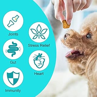 Bieyoc Calma masticazione per cani, cani calmanti, aiuta con ansia del cane, separazione, abbaiare, alleviare lo stress, iperattività, aggressività, reattività (150 pezzi mastica anatra)