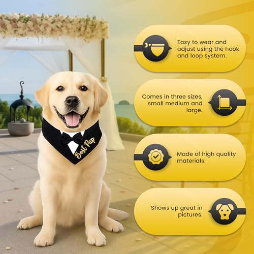 Disfraz de Esmoquin para Perro Brosash Talla Small miniatura 3