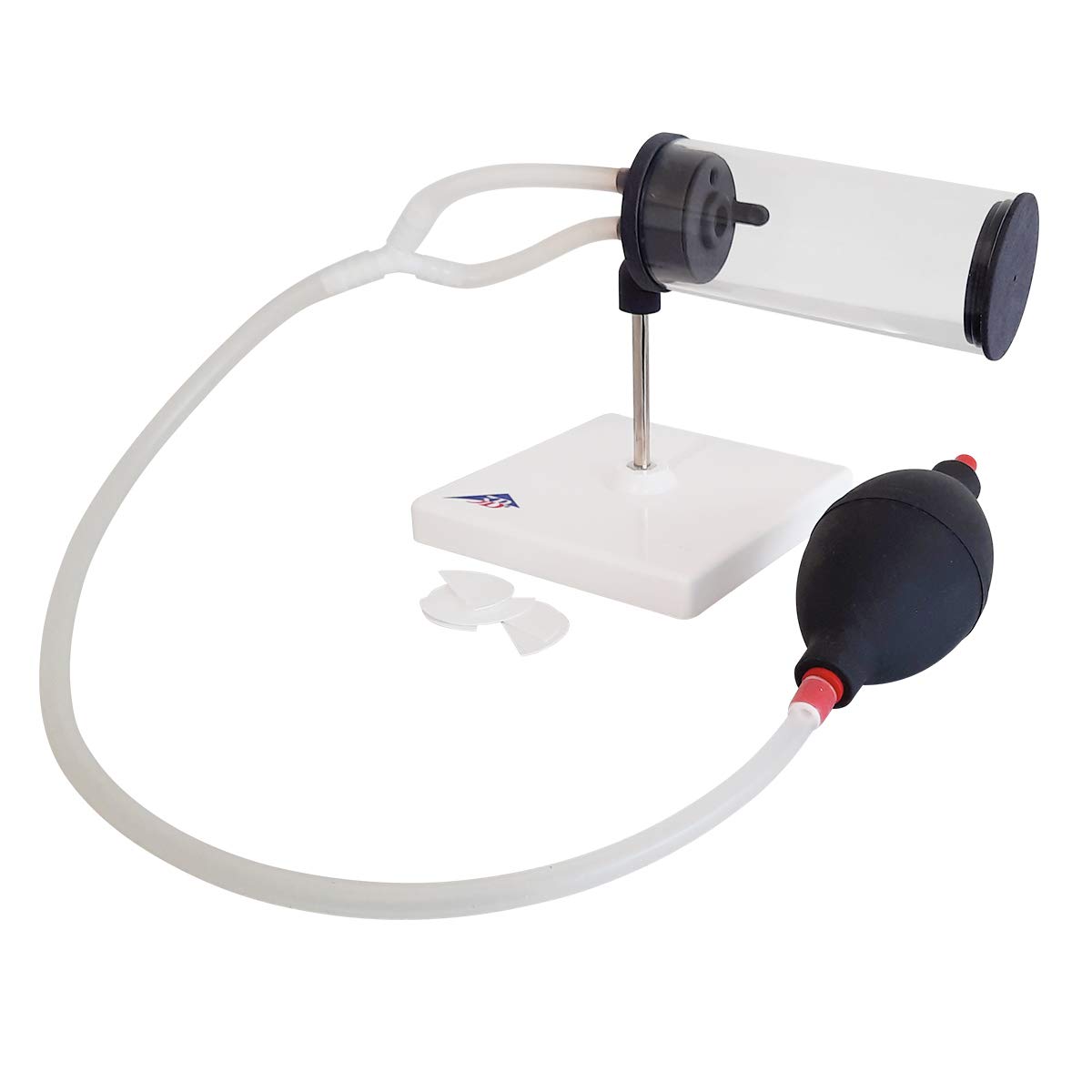 3B Scientific- Modelo de fumador 3en1