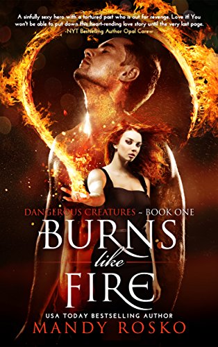 Free eBook - Burns Like Fire