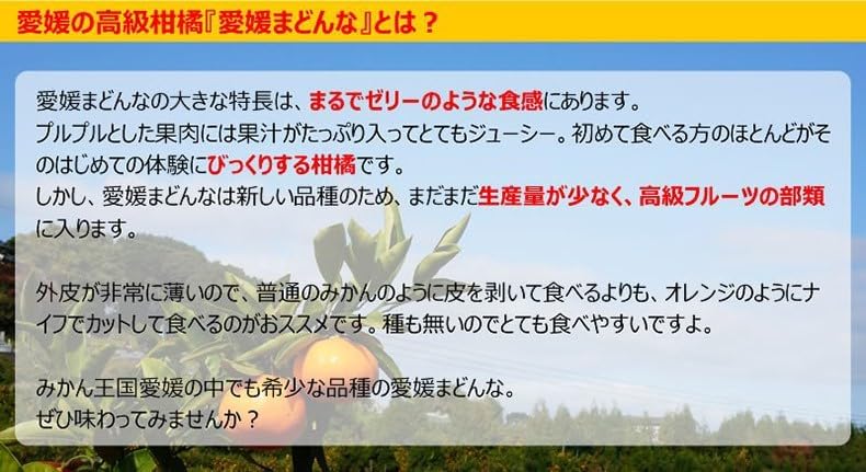 マドンナ みかん【厳選農園限定】愛媛アイカ(愛媛まどんな・紅まどんな・愛果28号 全て同品種) 訳あり サイズお任せ 2kg 【12