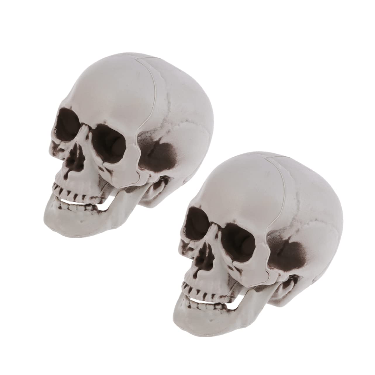 Toyvian 2 Set Eleganti Teschi Scheletrici Di Halloween Teschio Dacoratin Fantasma Puntelli Teschio Accessori Decorazione 3 Pezzi * 2