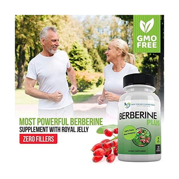 DOCTOR RECOMMENDED SUPPLEMENTS Berberine Plus 1200mg Per Serving - 120 Veggie Capsules with Royal Jelly