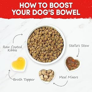 Stella  Chewys Uncooked Coated Beef Recipe Canine Meals 10lb  Cucciolini Doodles Stella  chewys uncooked coated beef recipe canine meals 10lb   cucciolini doodles