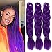 Black Friday UHair Purple Kanekalon Braiding Hair Extensions Jumbo Braid Crochet Colorful Hair High Temperature Synthetic Fiber Hair Extension for Women(100G/pc, 3 pcs/lot)