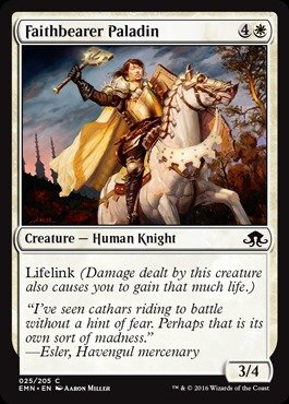 Magic The Gathering - Faithbearer Paladin (025/205)