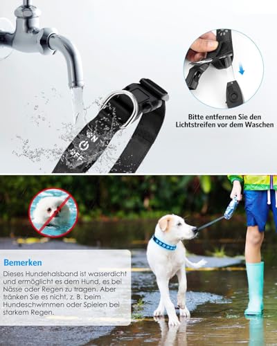 Brifit Leuchthalsband Hund Aufladbar mit 14 Lichtmodi, LED Halsband Hund Leuchtend Wasserdichtes, Silikonmaterial lässt Sich Leicht Anpassen Hundehalsband, für Kleine Mittlere Hund - S 【30cm - 40cm】