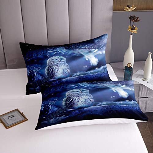 Owl Bedding Set Cute Boho Owl Duvet Cover Set for Kids Boys Girls Boho Exotic Style Comforter Cover Magical Fantasy Blue Decor Quilt Cover Room Decor 3Pcs King,Zipper - Image 3