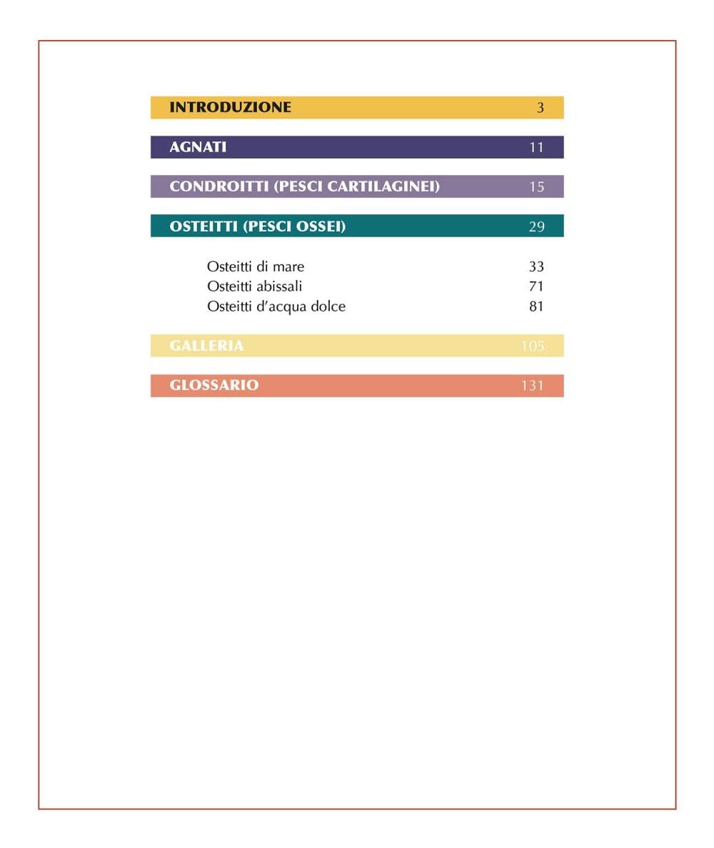 L'enciclopedia dei pesci. Ediz. a colori