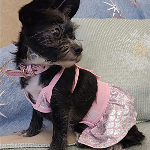 Image of Dog Bikini Swimsuit Summer Doggie Bathing Dress Leopard Rainbow Cat Skirt Beach Outfit for Puppy Dog Cat (XS, Fish Scales)