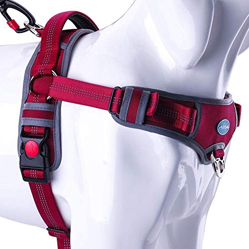 ThinkPet No Pull Harness Atmungsaktives Sportgeschirr - Fluchtsichere, reflektierende, gepolsterte Hundesicherheitsweste mit rückseitigen/vorderen Griffklammern, leicht für das Lauftraining