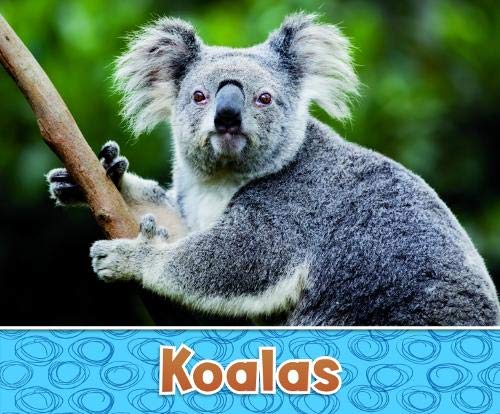Koalas (Pebble Plus: Australian Animals)