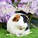 The Adventures of Marshmellow (Marshmellow the Guinea Pig)