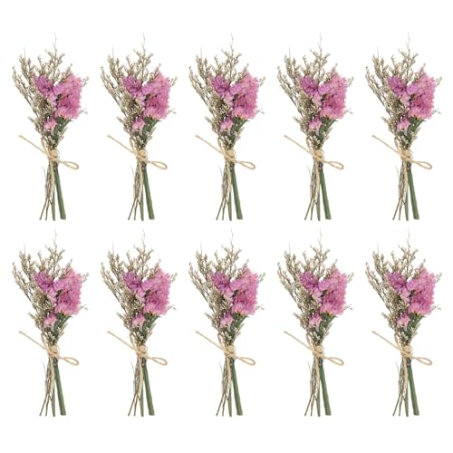 PATIKIL Mini Dried Flower Bouquet, 10 Pcs Forget-me-not Natural Wildflower with Stem Decor Baby's Breath Boho Floral Plant Flower for Crafts DIY Photo Props Gift Wedding Decor, Pink