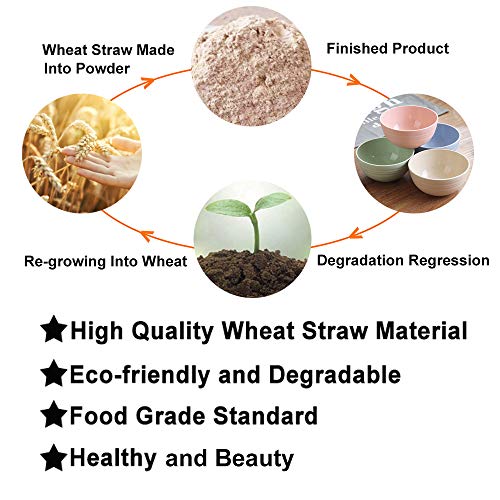 Set Of 5 Unbreakable Lightweight Rice Bowl, Premium Wheat Straw Cereal Bowl, Bowl Mouth 5.3Inch Soup Bowls, For Cereal, Soup And Fruit, Salad, Noodle, Dishwasher Safe (Purple) #TOP3