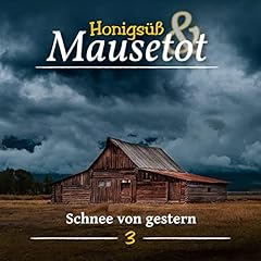 Page de couverture de Schnee von Gestern