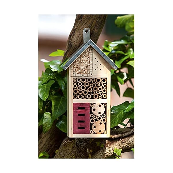 CULT at home Insektenhaus – Nistkasten für Nützlinge – Höhe 26 cm – Bienenhotel Schmetterlingshaus Insektenhotel… – Bild 8