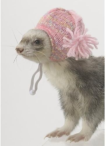 ferret hat