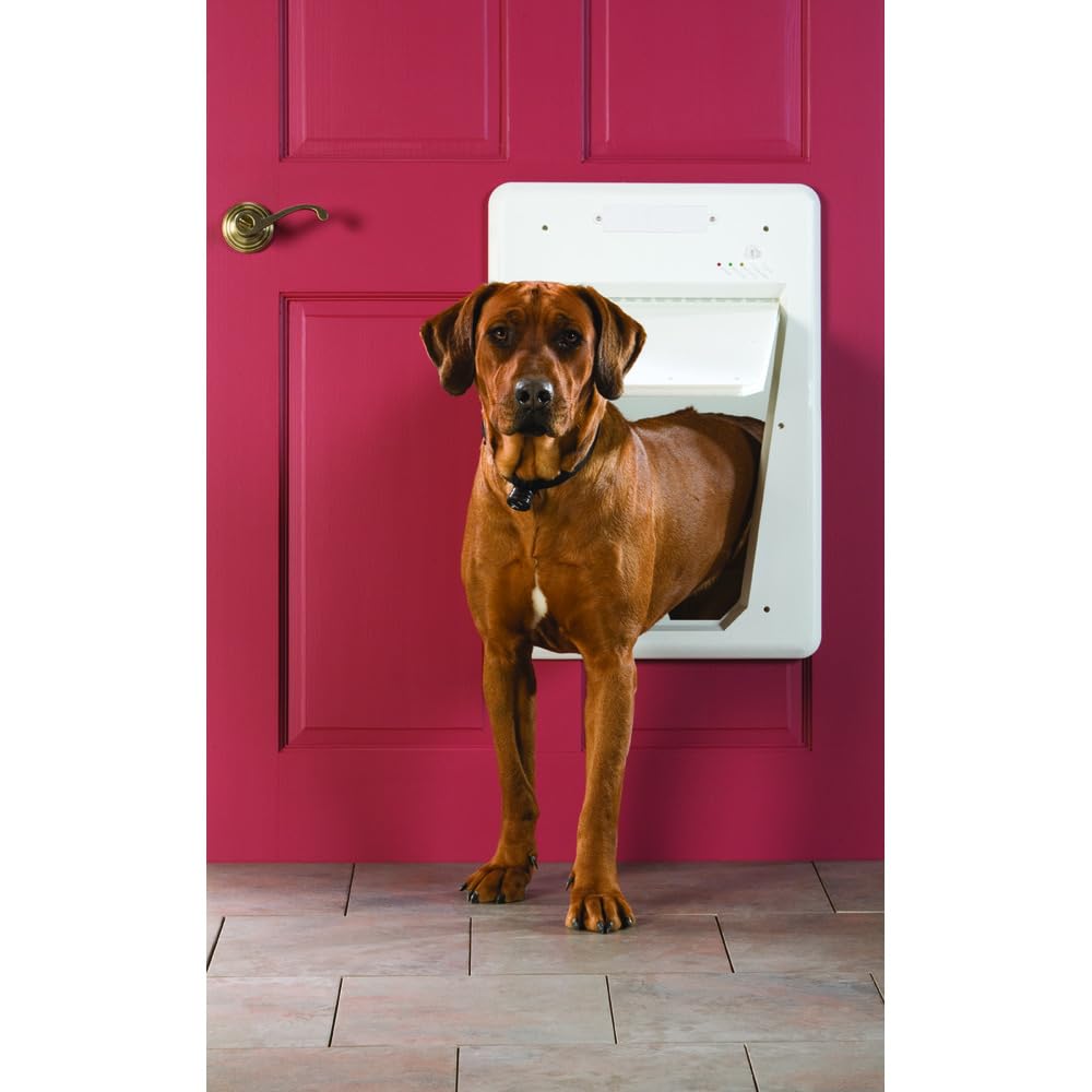 PetSafe - Porta per Animali Elettronica SmartDoor - Accesso con Chiave, Modalità Programmabili, Efficiente Energeticamente - Grande