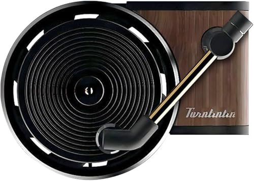 Xohny 12 clips de ventilación para ambientador de automóvil, bonita decoración de automóvil para mujeres, accesorios de coche para tocadiscos,