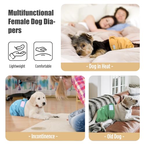 Image of wegreeco Washable Dog Diapers (3 Pack), Highly Absorbent Dog Diapers Female for Doggie Puppy in Heat, Period, Incontinence, or Excitable (Blue Green Yellow, Medium)
