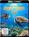 Produktbild Red Sea (4K Ultra-HD) [Blu-ray]