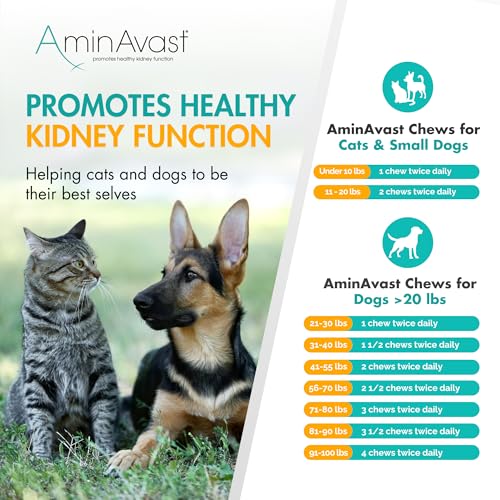AminAvast Small Dogs & Cat Kidney Support - Promotes Healthy Kidney Support in Cats & Small Dogs - 300mg (60 Chews) - Thumbnail 7