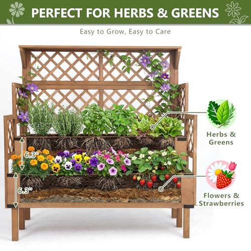 Image of Raised Garden Bed with Trellis, 2-Tier Elevated Planter Box, Wooden Outdoor Planter for Vegetables Herbs Flowers, Lattice Back for Climbing Plants, Modern Minimal Design for Patio Balcony Backyard
