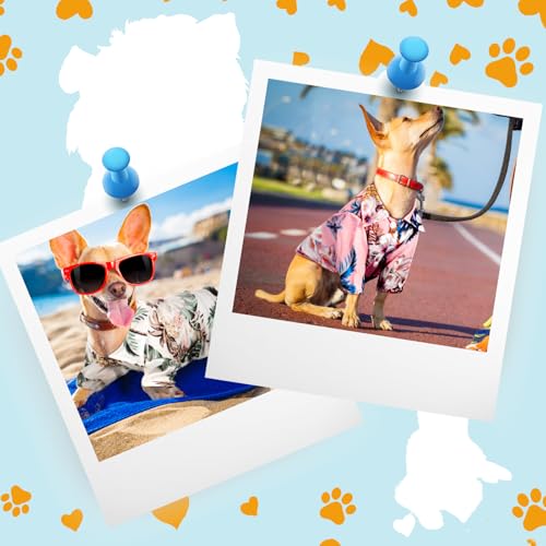 Weewooday 4 Pieces Small Pet Summer T-Shirts Hawaii Style Floral Pet Dog Shirt Breathable Cool Clothes Beach Seaside Puppy Sweatshirt for Puppy(Floral Style,X-Small) - Image 6
