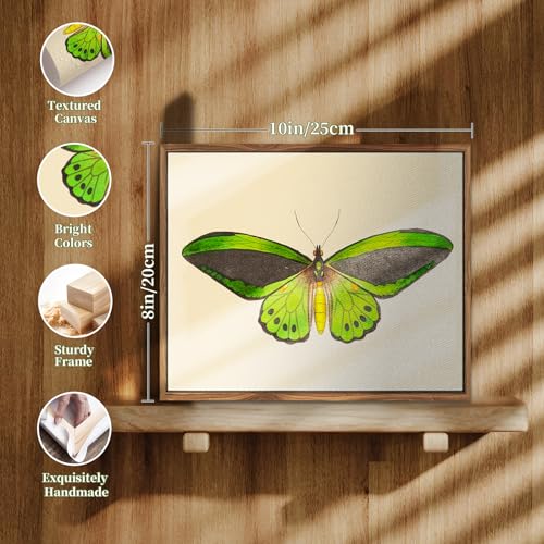 crmotu Vintage Framed Wall Art, Green Butterfly Canvas Art Prints, Nature Moth Rustic Farmhouse Kitchen Wall Decor, Country Cottage Wall Paintings for Bedroom Bathroom, Office Desktop Decor, 8x10inch