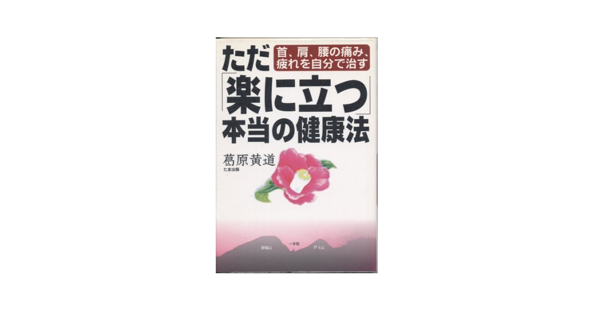 ただ「楽に立つ」本当の健康法 首、肩、腰の痛み、疲れを自分で治す ただ楽に立つ本当の健康法: 首、肩、腰の痛み、疲れを自分で治す