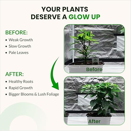 Humboldts Secret Starter Kit Pack – World's Best Indoor & Outdoor Plant Fertilizer and Nutrient System: Base A & B – Golden Tree – Flower Stacker – Plant Enzymes – CalMag & Iron