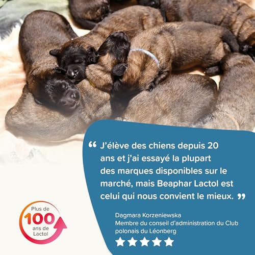 BEAPHAR - Lactol Aufzucht-Milch - Für Hundewelpen - Von Geburt An - Muttermilchersatz Mit DHA, Vitaminen Und Mineralien - Unterstützt Gesunde Aufzucht Und Stärkung - 1 kg