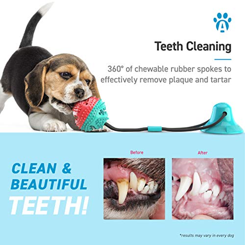 ANYPET Dog Dental Care Toothbrush Chew Toy with Food Dispenser, Blue, Battery Powered, All Life Stages by ANYPET - Image 4