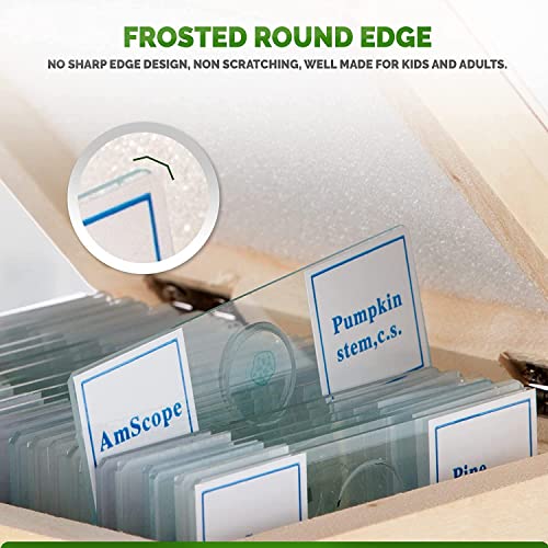 Amscope Ps25W Prepared Microscope Slide Set For Basic Biological Science Education, 25 Slides, Includes Fitted Wooden Case #TOP4