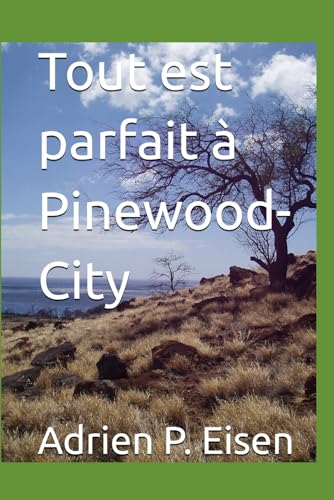 Tout est parfait à Pinewood-City (French Edition)