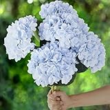 PARTY JOY 5PCS 15.4In Artificial Hydrangea Silk Flowers Bouquet Faux Hydrangea Stems for Wedding Centerpieces Home Decor (Light Blue)