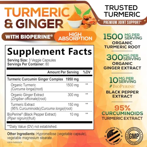 Image of Turmeric Curcumin Supplement - 95% Curcuminoids with Organic Turmeric & Ginger, BioPerine Black Pepper Extract for Best Absorption, Natural Vegan Joint Support, Non-GMO, Bottled in USA - 240 Capsules