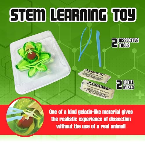 Image of Dissect-It, Standard Frog Dissection Kit, STEM Toys for Kids, Ages 6+ | Animal Anatomy Learning, Explore realistic frog organs and a complete skeleton while building biology and STEM skills.