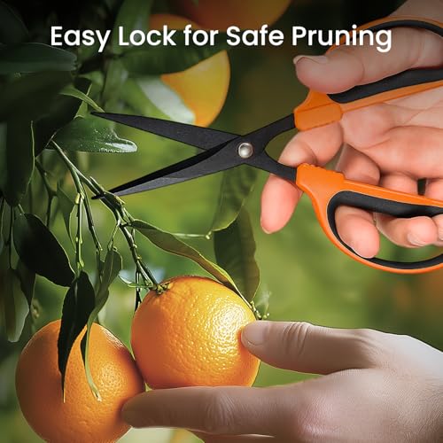 GROWNEER 6 Packs Trimming Scissors Teflon Coated Non Stick Blades Pruning Shears Gardening Hand Pruning Snips with Straight Stainless Steel Precision Blade by GROWNEER - Image 6