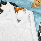 Zoom IMG-2 catalonia classy cat blue sherpa Zoom IMG-2 catalonia classy cat blue sherpa